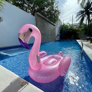 https://luxury-2bedroom-saltwater-pool-gym-fast-wi-fi.allrivieramayahotels.com